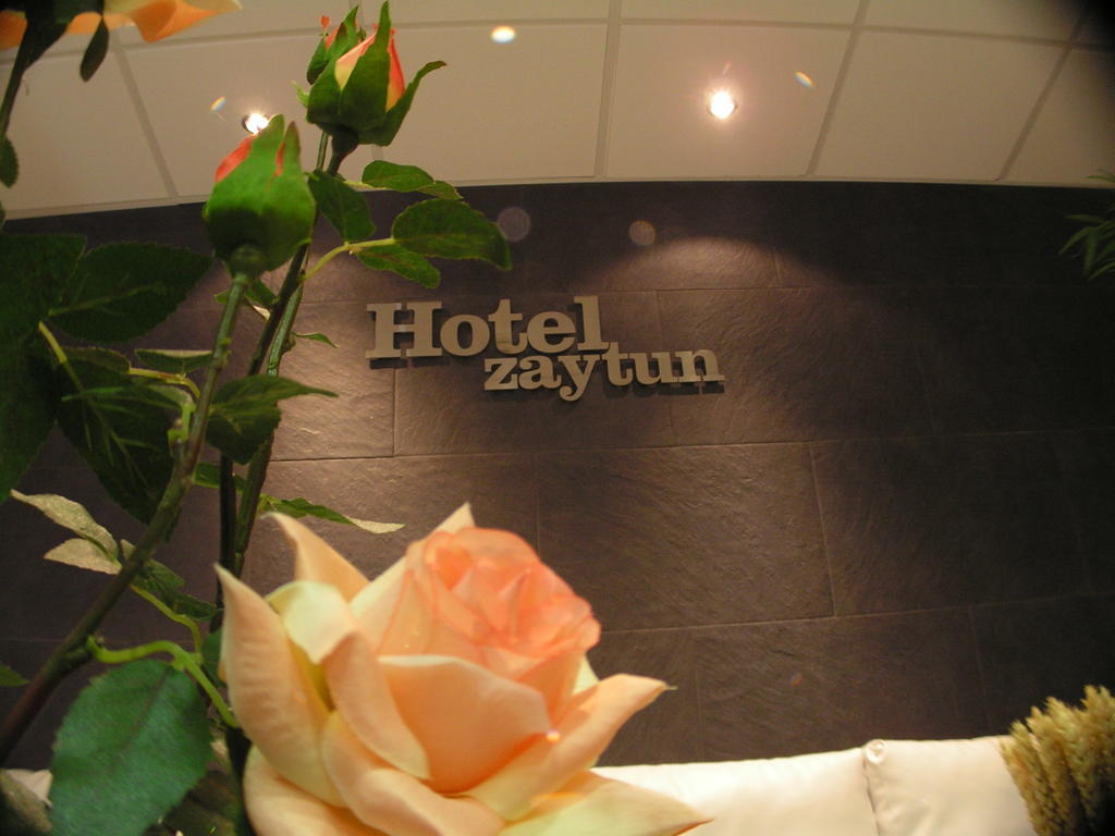 Hotel Zaytun Mequinenza Buitenkant foto